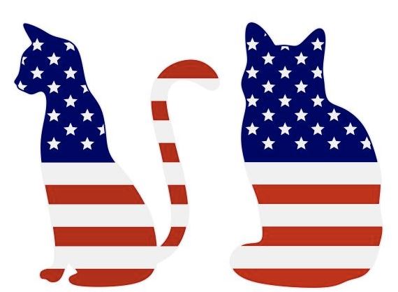 American Cat flag